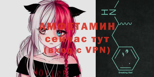 прущие грибы Михайловка
