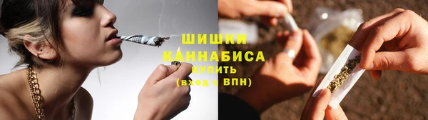 шишки Медвежьегорск